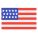 USA Flag